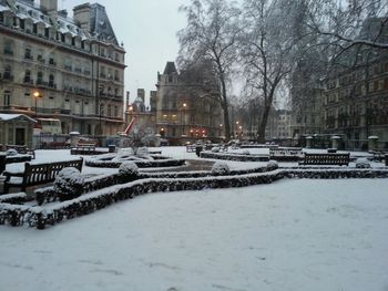 Snow covered trees in city