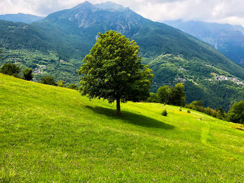 Scenic view of green landscape and mountains against sky