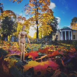 Man standing in park during autumn