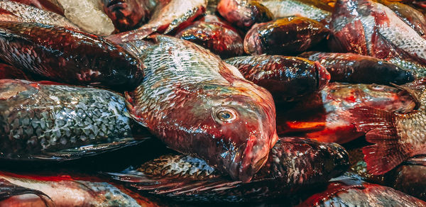 Full frame shot of fish for sale in market