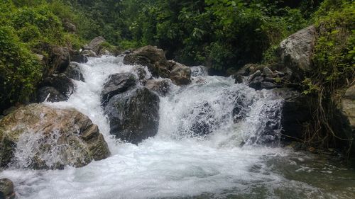 Scenic view of waterfall