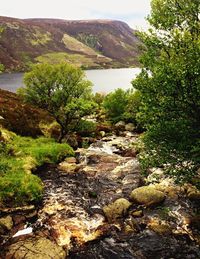 River flowing through rocks