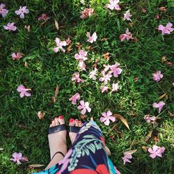 Low section of woman standing on pink flowers