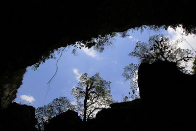 Low angle view of silhouette trees against sky