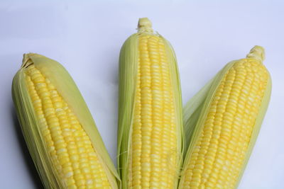 Close-up of corn against white background