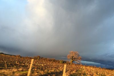 Scenic view of field against cloudy sky