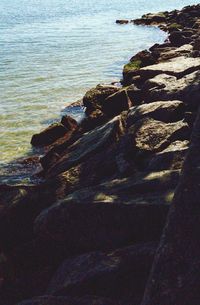 Scenic view of sea