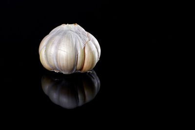 Close-up of lemon slice over black background