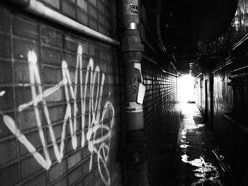 Reflection of trees in puddle