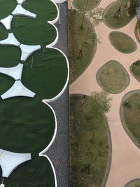 High angle view of leaves in water