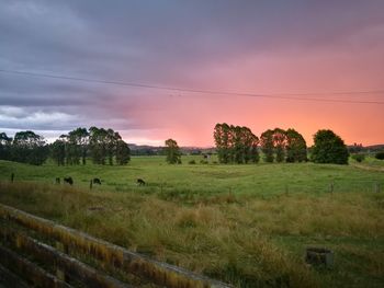 Scenic view of field against sky during sunset