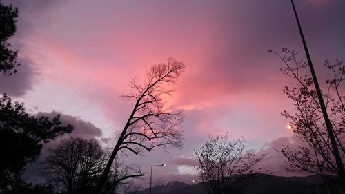 Low angle view of silhouette trees against cloudy sky