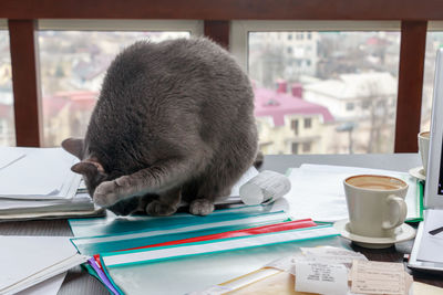 Close-up of coffee cup on table