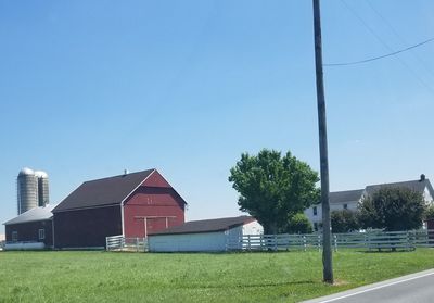 Trees and houses on field against clear blue sky