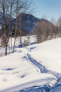 Bare trees on snow covered field against sky