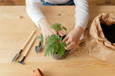 Midsection of man cutting vegetables on table