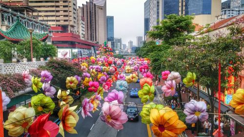 Multi colored flowers in garden