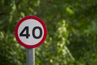 Close-up of road sign against trees