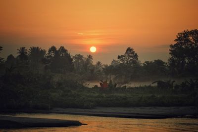 Scenic view of silhouette trees against orange sky