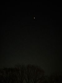 Low angle view of bare trees against clear sky at night