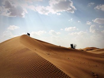 Man on horse in desert against sky