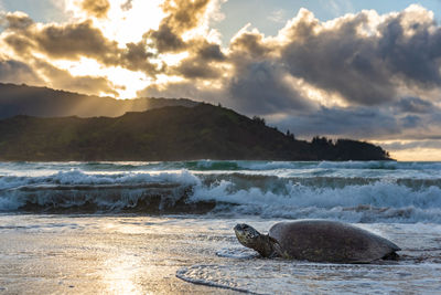 Scenic view of sea against sky during sunset
