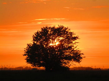 Silhouette tree on field against romantic sky at sunset