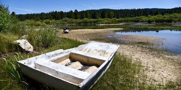 Scenic view of lake in forest against sky