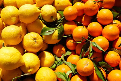 Full frame shot of oranges in market