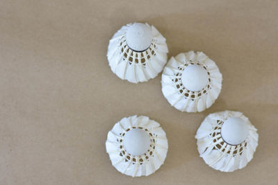 High angle view of shells on table