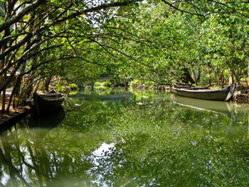 Boat moored on lake against trees