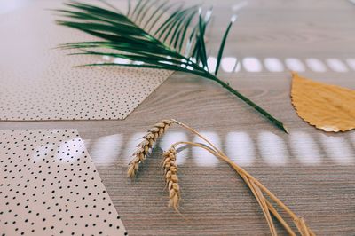 High angle view of wheat with leaves and spotted fabrics on table