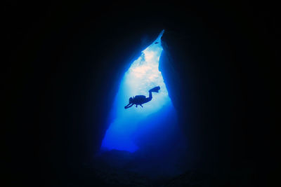 Low angle view of silhouette person swimming in sea