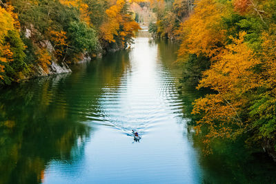 High angle view of trees by lake during autumn