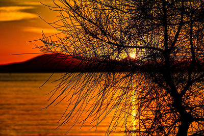 Silhouette bare tree by lake against orange sky
