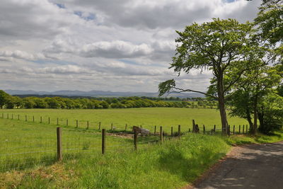 Scenic view of field against sky