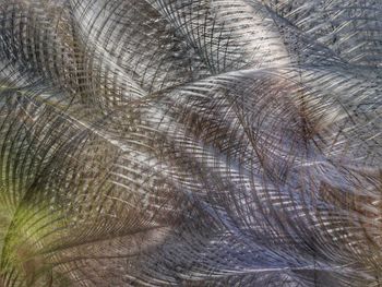 Full frame shot of tree trunk