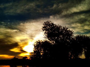 Silhouette of trees against cloudy sky