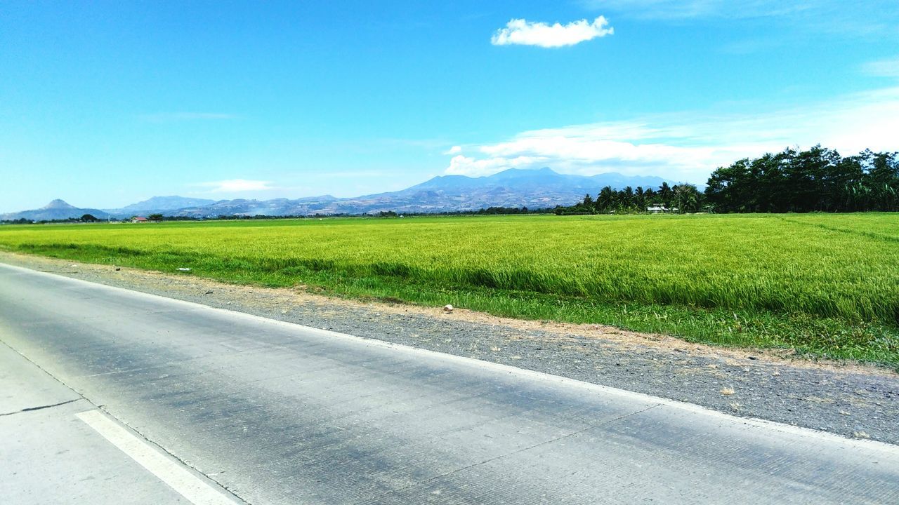 landscape, road, field, grass, tranquil scene, sky, tranquility, green color, transportation, the way forward, blue, country road, rural scene, scenics, nature, beauty in nature, mountain, growth, agriculture, day