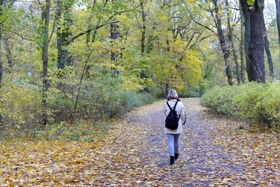 Rear view of woman walking on road amidst trees in forest