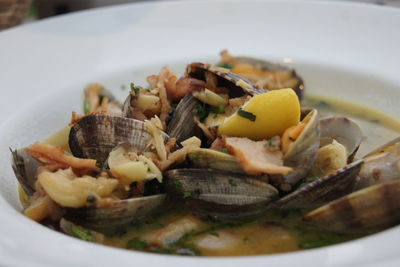 Close-up of meal served in plate