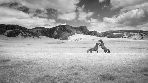 People on field against mountains