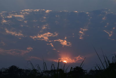 Low angle view of silhouette trees against sky during sunset
