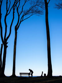 Silhouette man by tree against clear blue sky