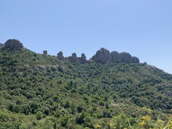 Scenic view of landscape against clear sky