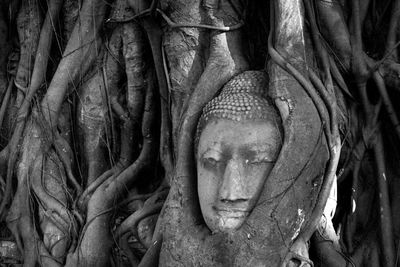 Close-up of buddha statue