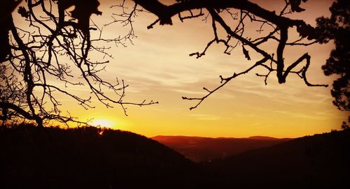 Silhouette trees against sky during sunset