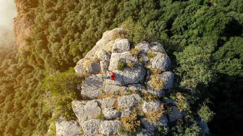 High angle view of man sitting on rock formation at forest