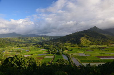 Scenic view of agricultural field against sky