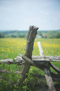 View of field against sky